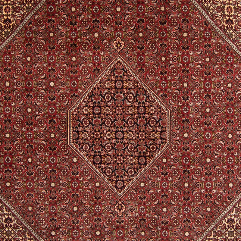 ビジャー 絨毯 345x247cm - ペルシャ絨毯