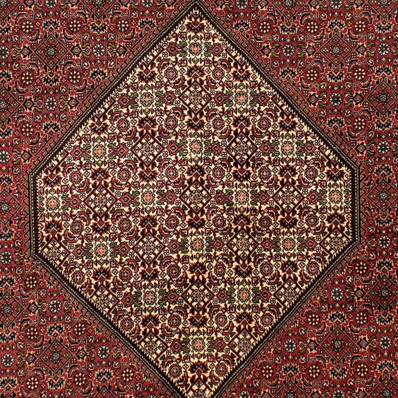 ビジャー 絨毯 265x171cm - ペルシャ絨毯