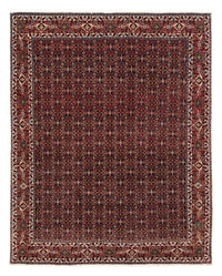 ビジャー 絨毯 248x205cm - ペルシャ絨毯 – product image