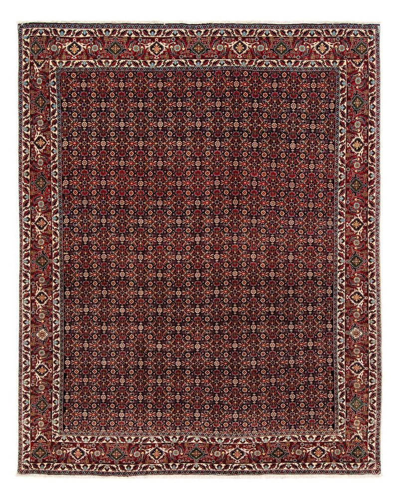 ビジャー 絨毯 248x205cm - ペルシャ絨毯