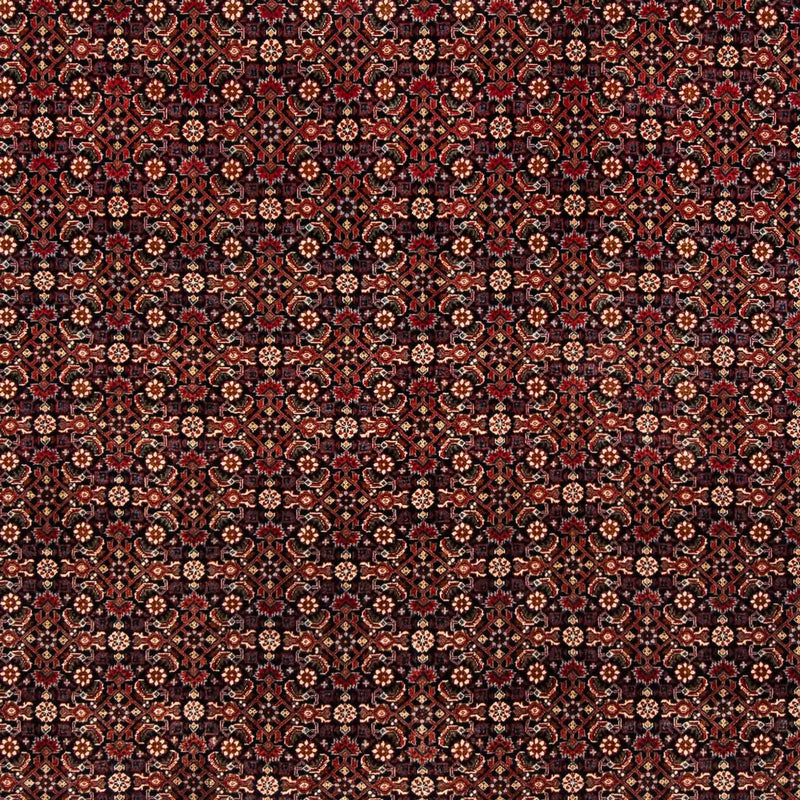 ビジャー 絨毯 248x205cm - ペルシャ絨毯