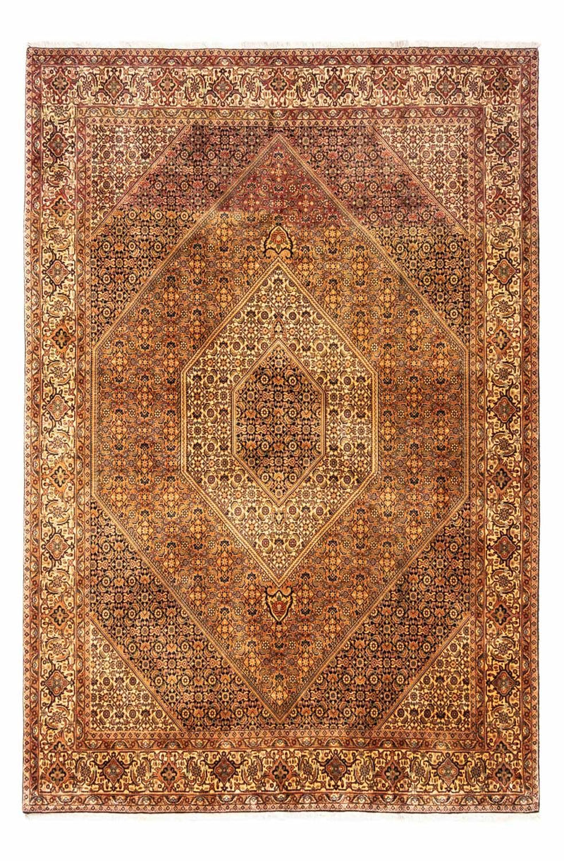 ビジャー - タカブ 絨毯 297x202cm - ペルシャ絨毯