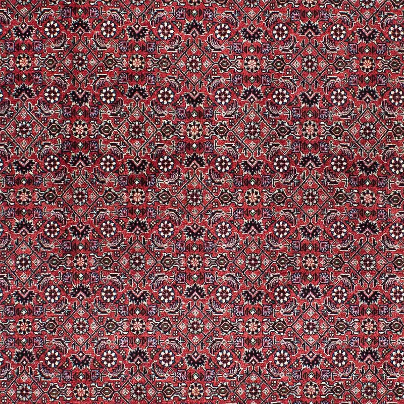 ビジャー 絨毯 200x133cm - ペルシャ絨毯