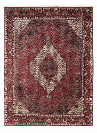 ビジャー - タカブ 絨毯 249x338cm - ペルシャ絨毯