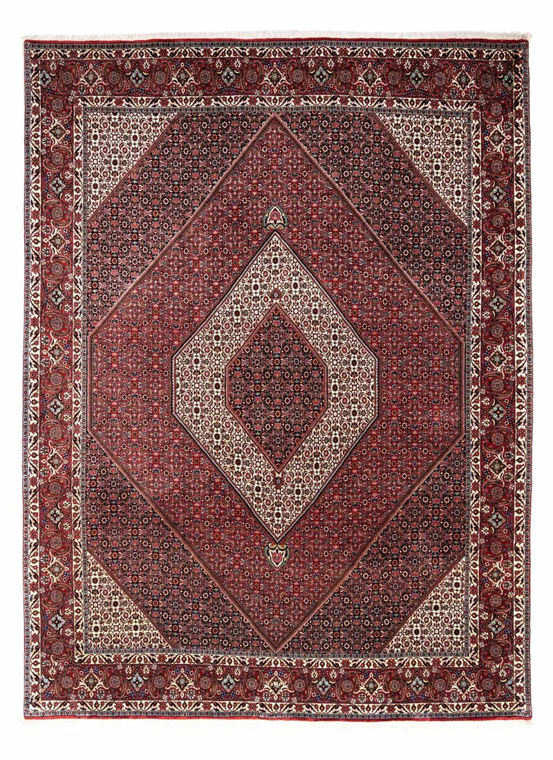 ビジャー - タカブ 絨毯 338x249cm - ペルシャ絨毯