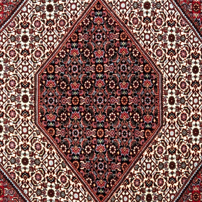 ビジャー - タカブ 絨毯 338x249cm - ペルシャ絨毯