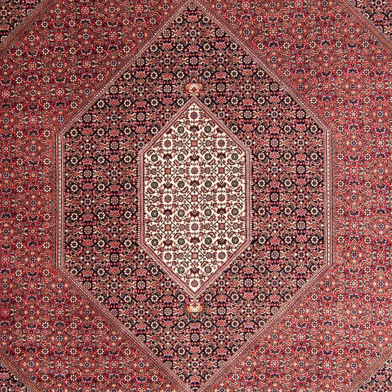 ビジャー 絨毯 360x250cm - ペルシャ絨毯