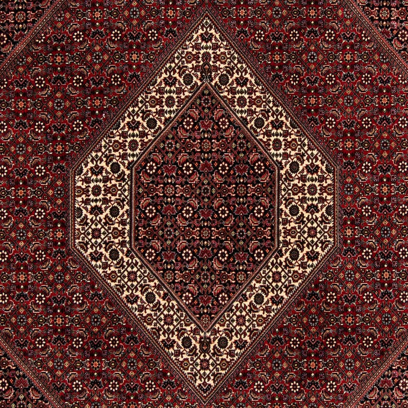 ビジャー 絨毯 263x203cm - ペルシャ絨毯