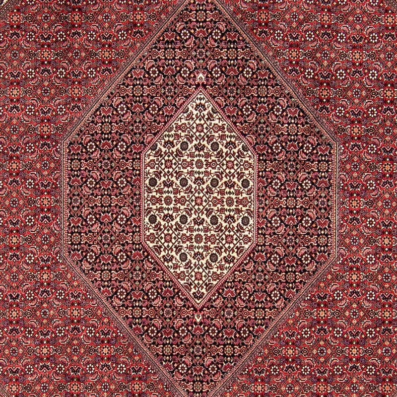 ビジャー 絨毯 295x251cm - ペルシャ絨毯