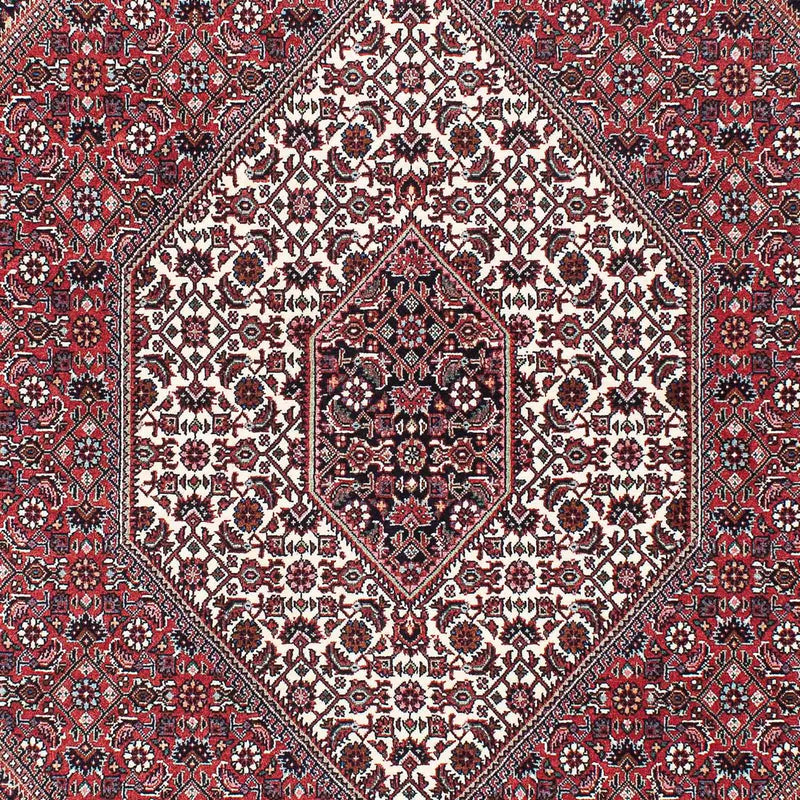ビジャー 絨毯 200x132cm - ペルシャ絨毯