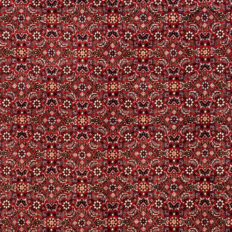 ビジャー - タカブ 絨毯 340x248cm - ペルシャ絨毯