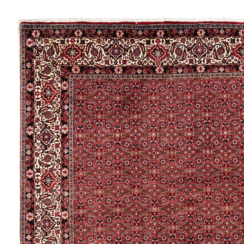 ビジャー - タカブ 絨毯 340x248cm - ペルシャ絨毯