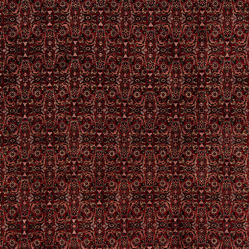ビジャー 絨毯 249x202cm - ペルシャ絨毯