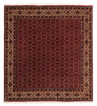 ビジャー 絨毯 207x200cm - ペルシャ絨毯 – product image