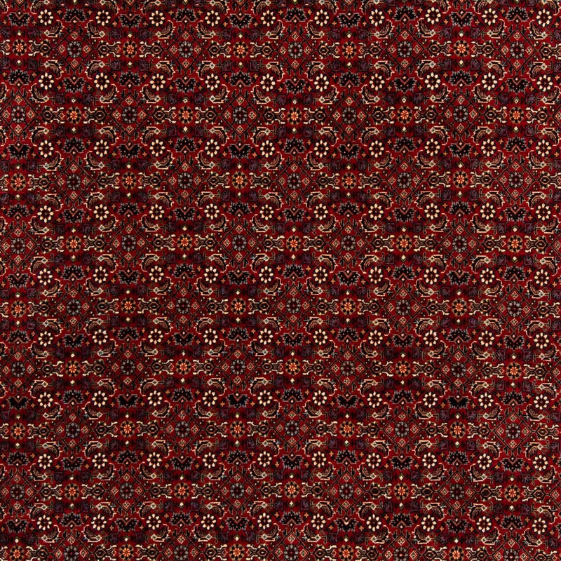 ビジャー 絨毯 207x200cm - ペルシャ絨毯