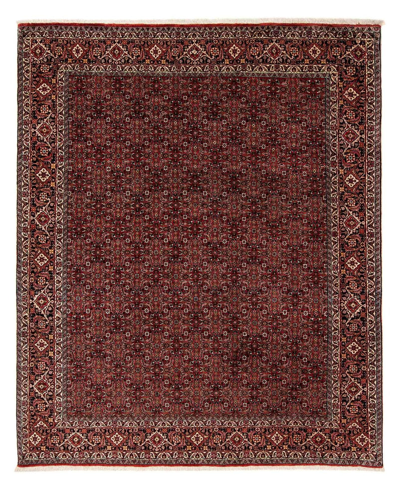 ビジャー 絨毯 242x202cm - ペルシャ絨毯