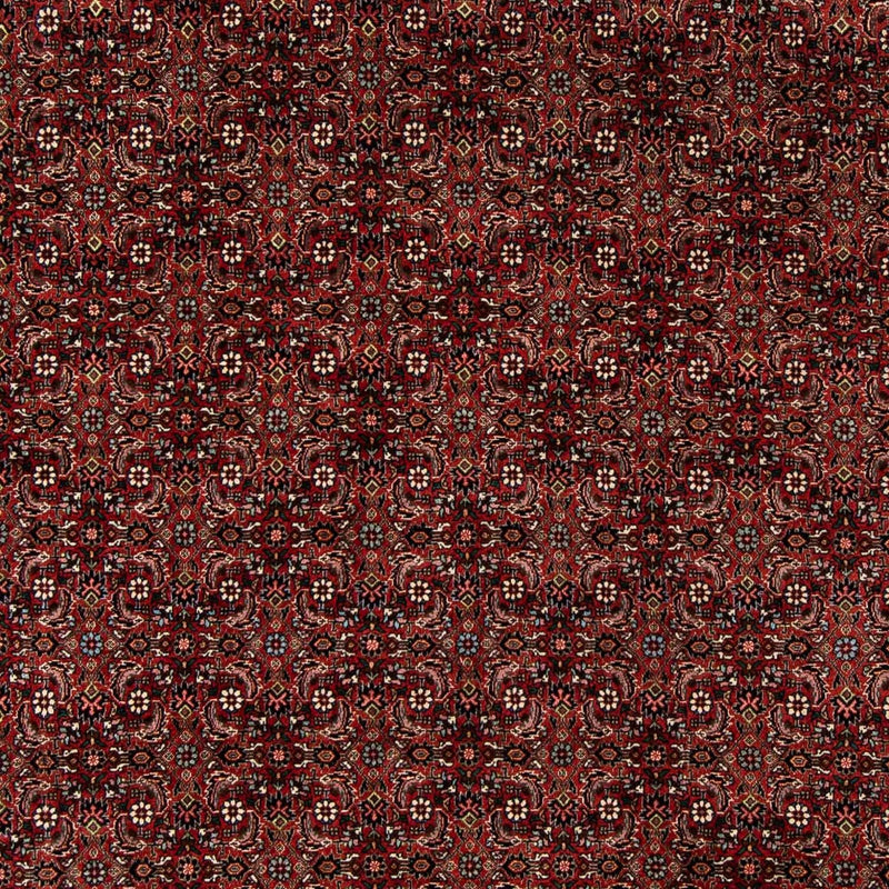ビジャー 絨毯 242x202cm - ペルシャ絨毯