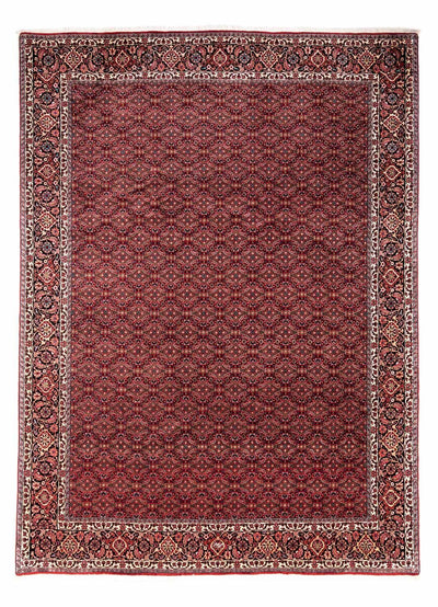 ビジャー - タカブ 絨毯 252x337cm - ペルシャ絨毯