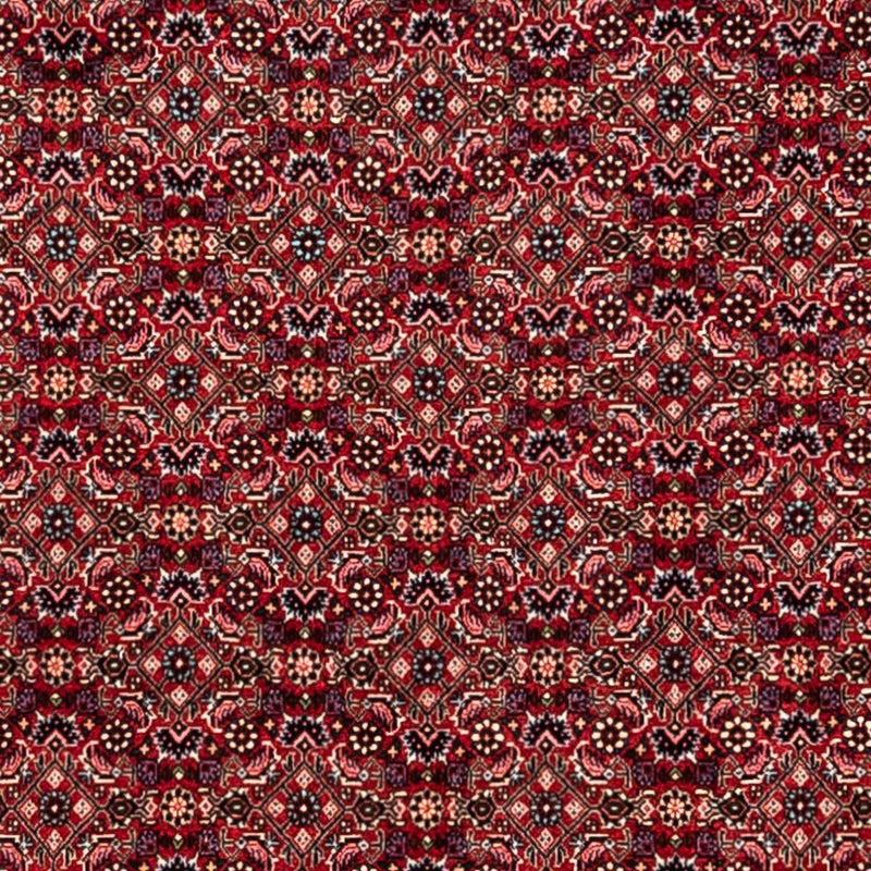 ビジャー - タカブ 絨毯 337x252cm - ペルシャ絨毯