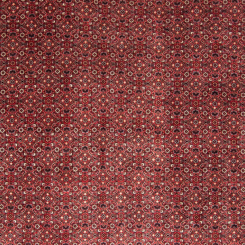 ビジャー 絨毯 338x258cm - ペルシャ絨毯