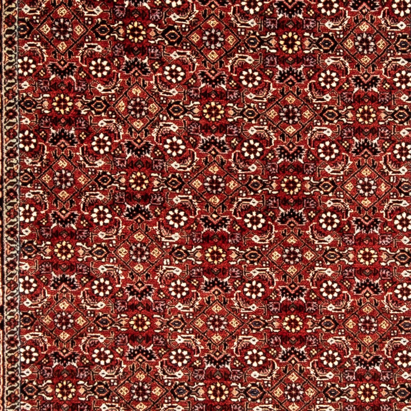 ビジャー 絨毯 298x80cm - ペルシャ絨毯