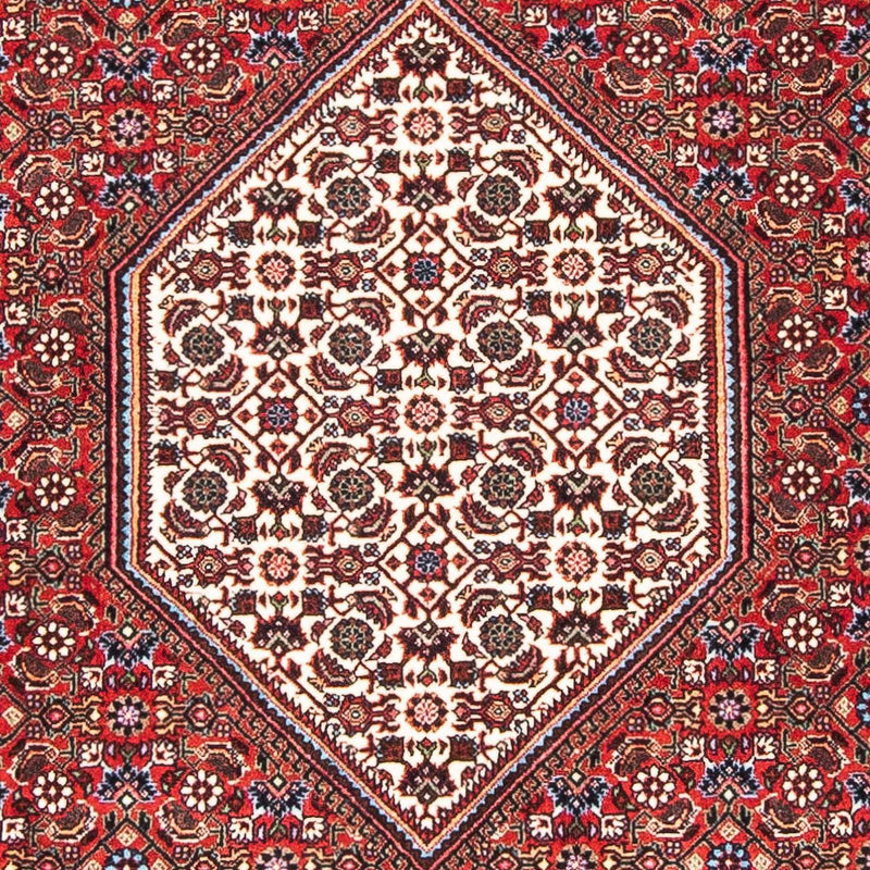 ビジャー 絨毯 169x108cm - ペルシャ絨毯