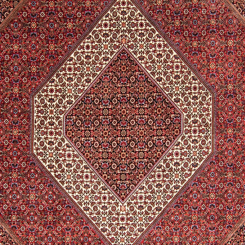 ビジャー 絨毯 345x252cm - ペルシャ絨毯