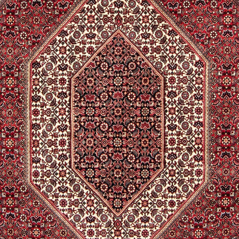 ビジャー 絨毯 250x171cm - ペルシャ絨毯