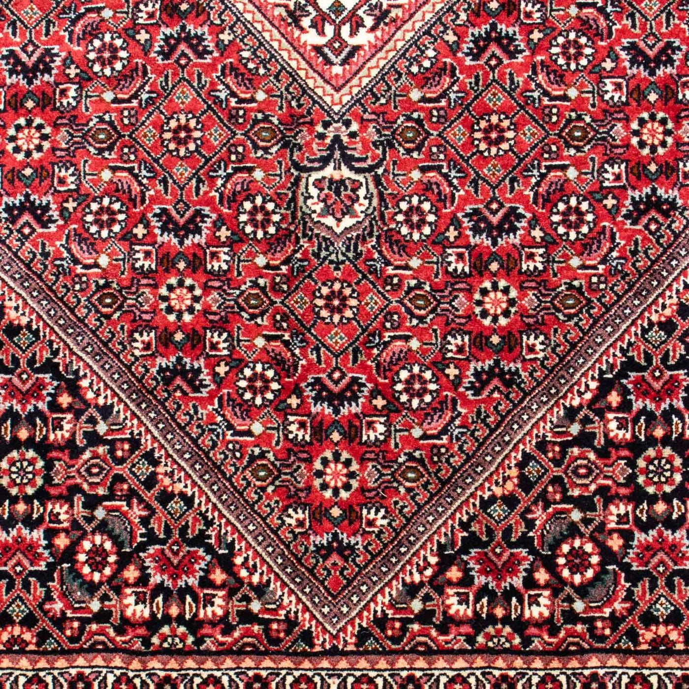 ビジャー 絨毯 250x171cm - ペルシャ絨毯