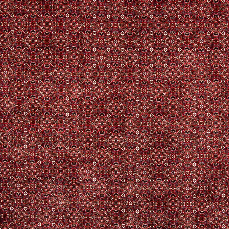 ビジャー 絨毯 400x308cm - ペルシャ絨毯