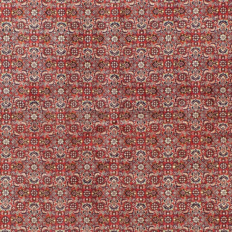 ビジャー 絨毯 245x170cm - ペルシャ絨毯