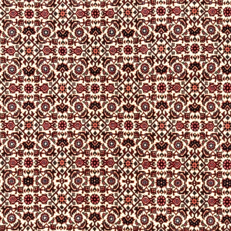 ビジャー - タカブ 絨毯 343x253cm - ペルシャ絨毯