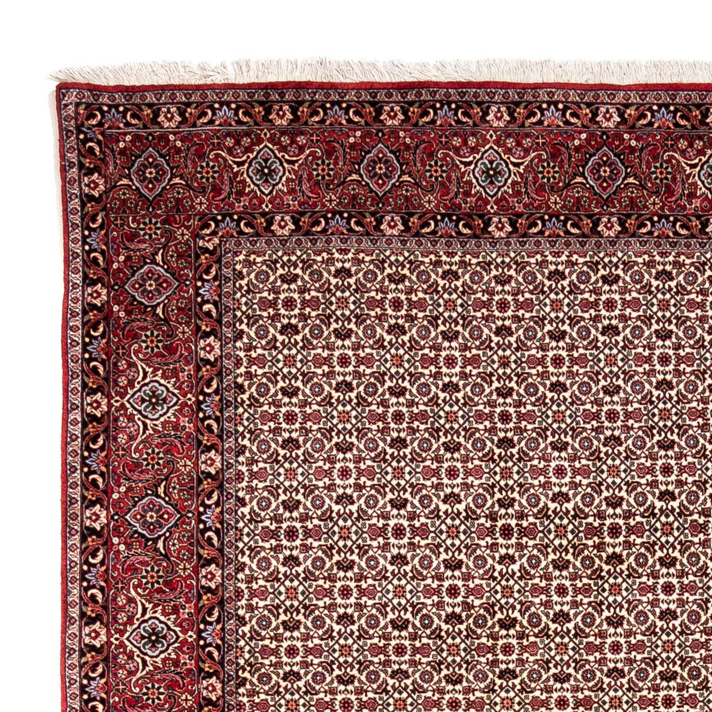 ビジャー - タカブ 絨毯 343x253cm - ペルシャ絨毯