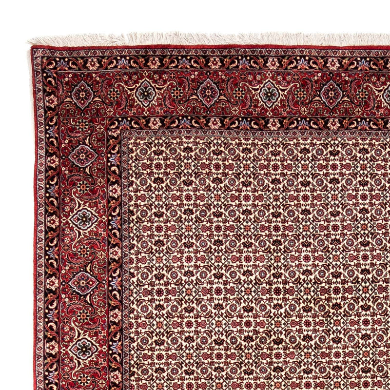 ビジャー - タカブ 絨毯 343x253cm - ペルシャ絨毯