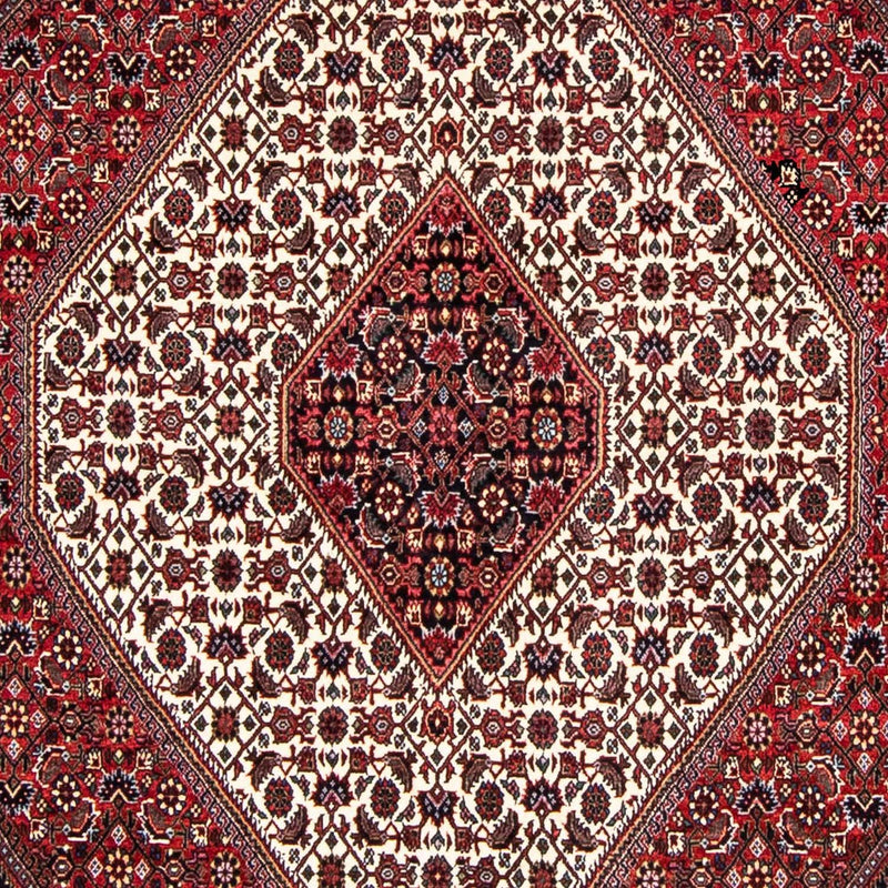ビジャー 絨毯 236x172cm - ペルシャ絨毯