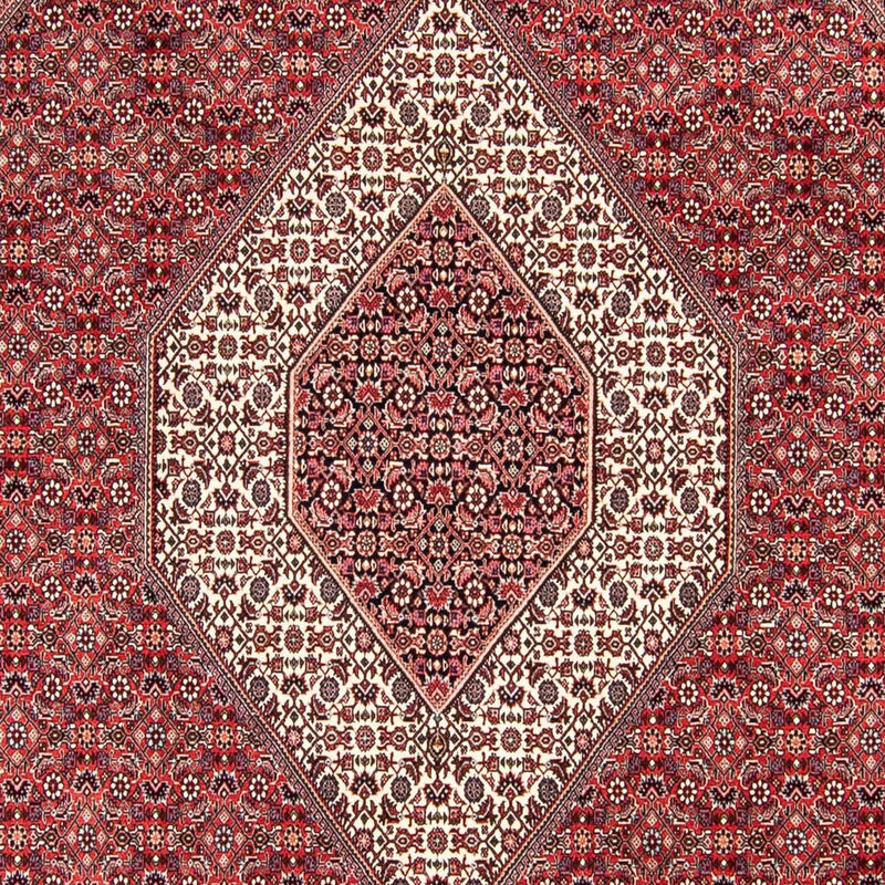 ビジャー 絨毯 305x253cm - ペルシャ絨毯