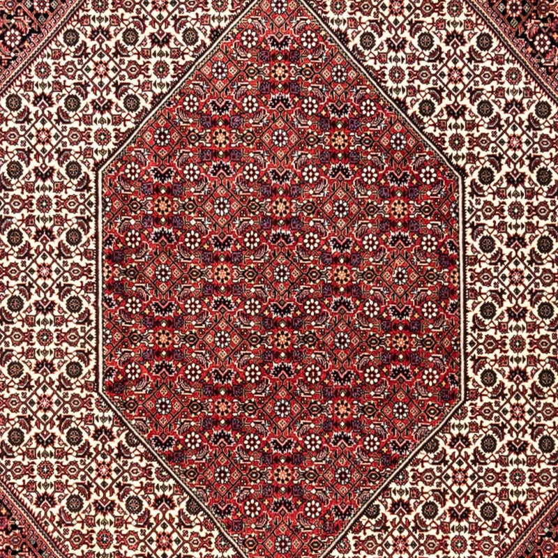 ビジャー - タカブ 絨毯 353x250cm - ペルシャ絨毯