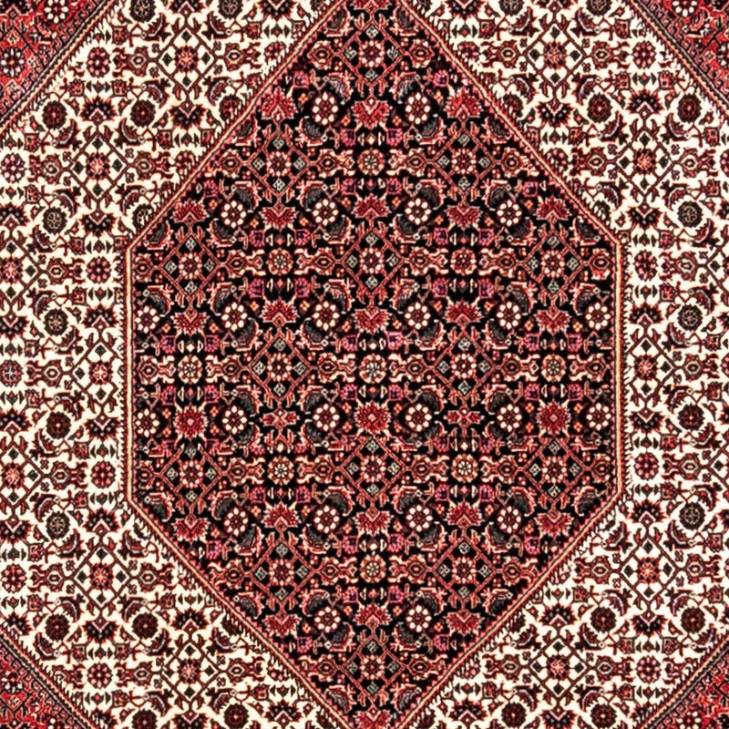 ビジャー - タカブ 絨毯 350x252cm - ペルシャ絨毯