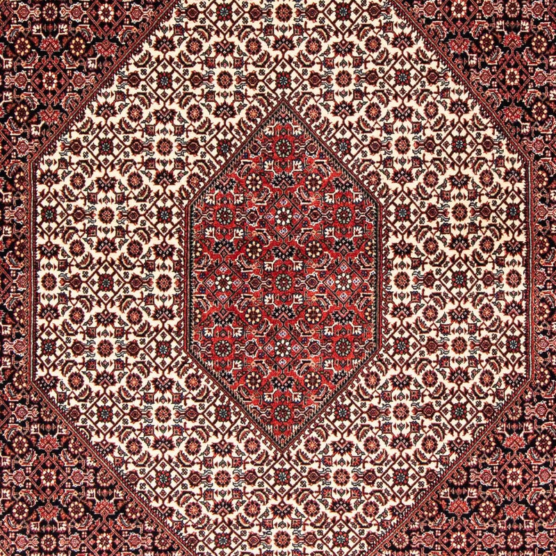 ビジャー 絨毯 242x171cm - ペルシャ絨毯