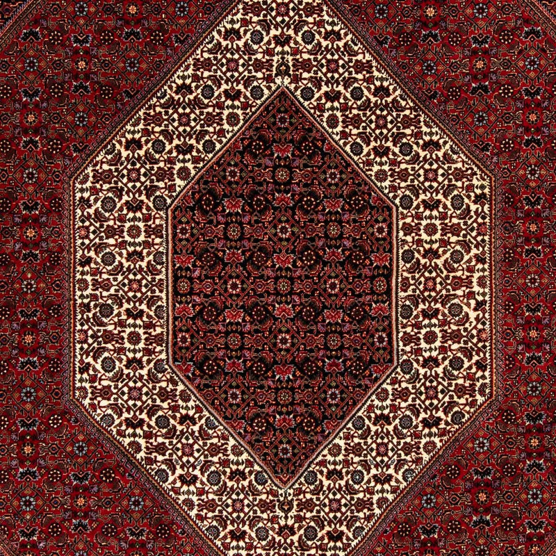 ビジャー 絨毯 253x200cm - ペルシャ絨毯