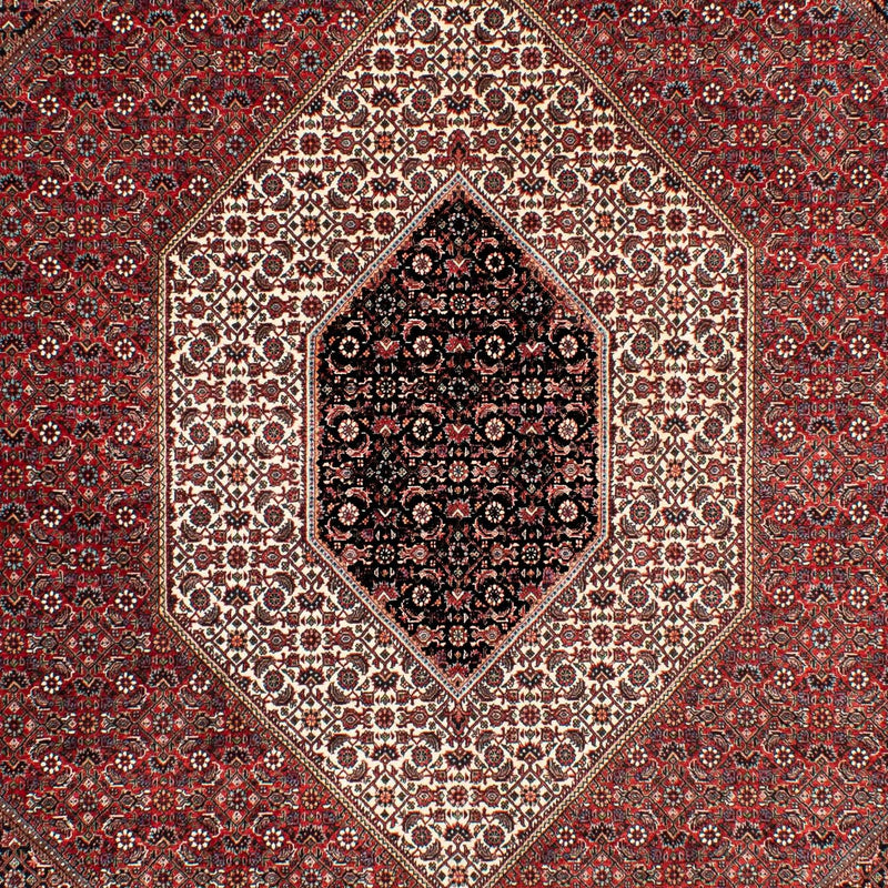 ビジャー 絨毯 303x203cm - ペルシャ絨毯