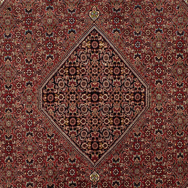 ビジャー 絨毯 295x200cm - ペルシャ絨毯