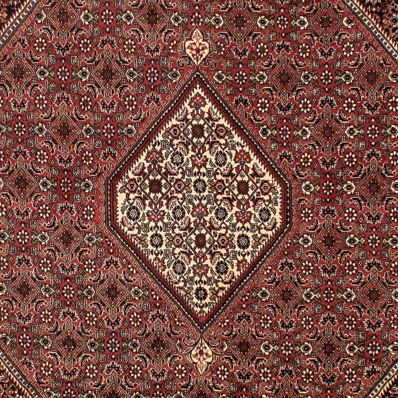 ビジャー 絨毯 298x200cm - ペルシャ絨毯