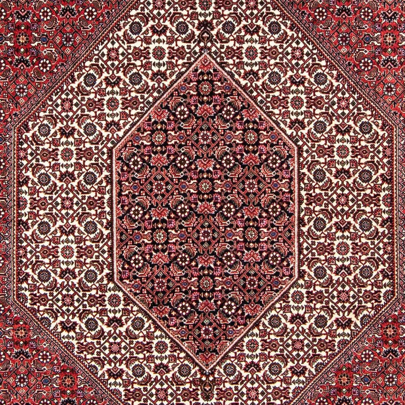 ビジャー 絨毯 237x172cm - ペルシャ絨毯