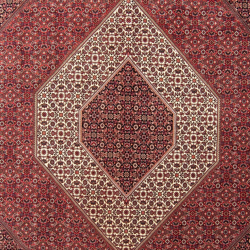 ビジャー 絨毯 350x254cm - ペルシャ絨毯