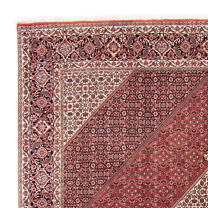 ビジャー 絨毯 350x254cm - ペルシャ絨毯