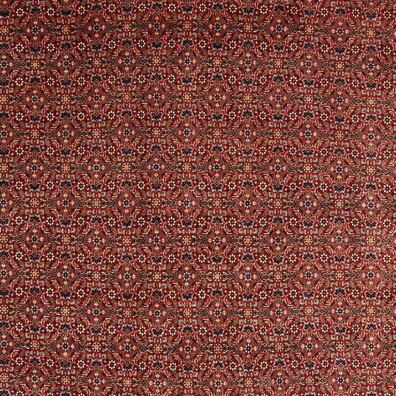 ビジャー 絨毯 340x254cm - ペルシャ絨毯