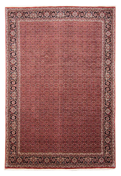 ビジャー 絨毯 245x350cm - ペルシャ絨毯