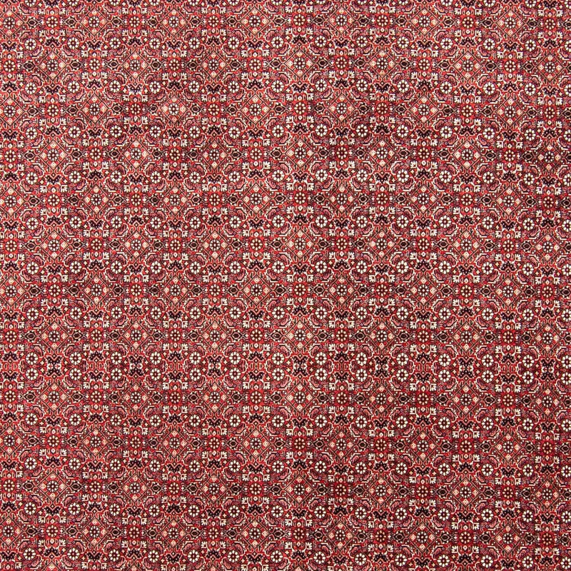ビジャー 絨毯 350x245cm - ペルシャ絨毯