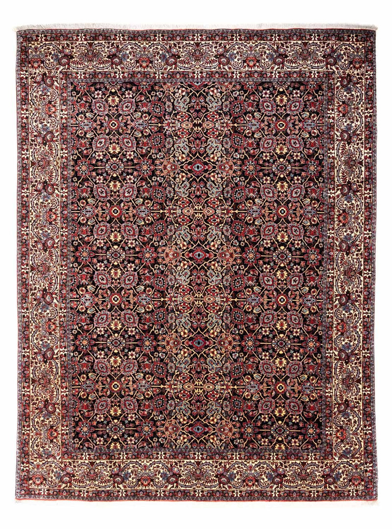 ビジャー - タカブ 絨毯 335x254cm - ペルシャ絨毯